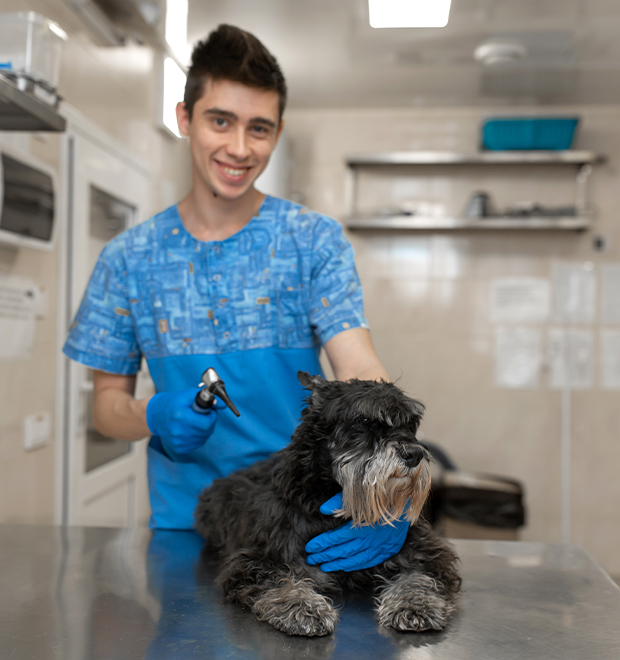 MPS-Certified-Veterinary-Technician-Visit