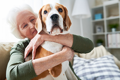 Pet-Euthanasia-&-Estate-Planning